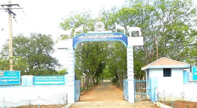 College Image